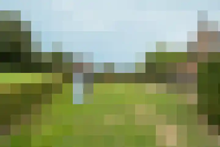 Hoogeweg 34 Pannerden thumbnail 45