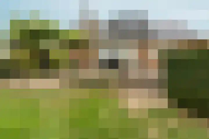 Hoogeweg 34 Pannerden thumbnail 46