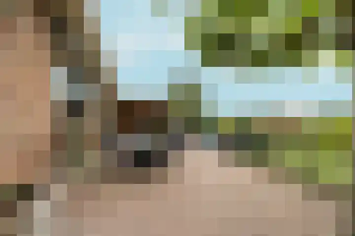 Hoogeweg 34 Pannerden thumbnail 50