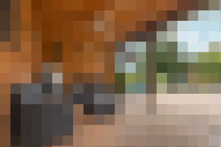 Hoogeweg 34 Pannerden thumbnail 51