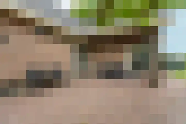 Hoogeweg 34 Pannerden thumbnail 53