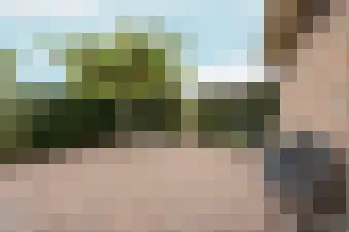 Hoogeweg 34 Pannerden thumbnail 54