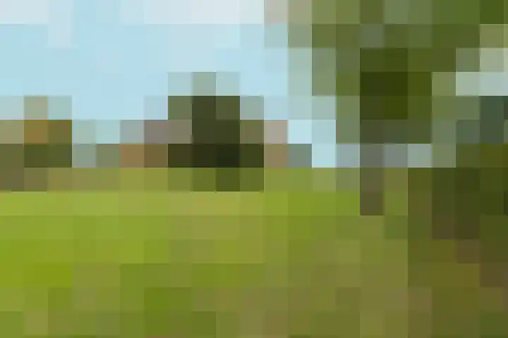 Hoogeweg 34 Pannerden thumbnail 55