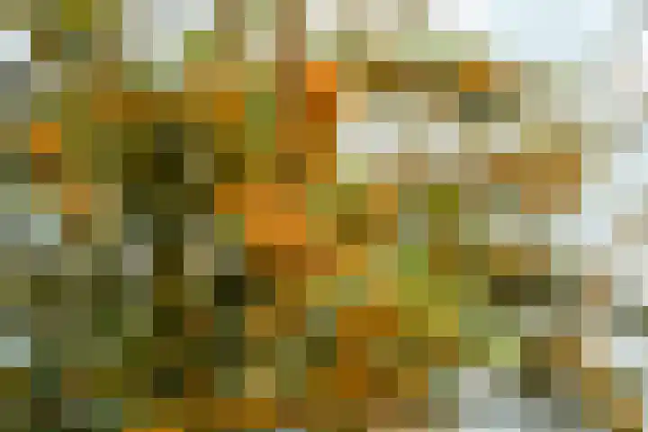 Hoogeweg 34 Pannerden thumbnail 56