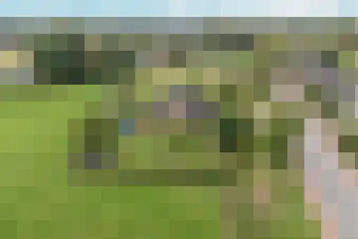 Hoogeweg 34 Pannerden thumbnail 57