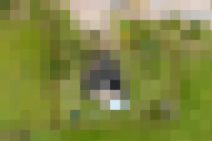Hoogeweg 34 Pannerden thumbnail 59