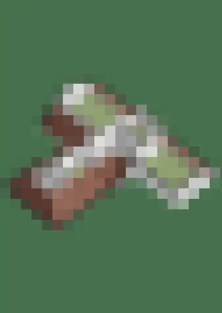 Hoogeweg 34 Pannerden thumbnail 66