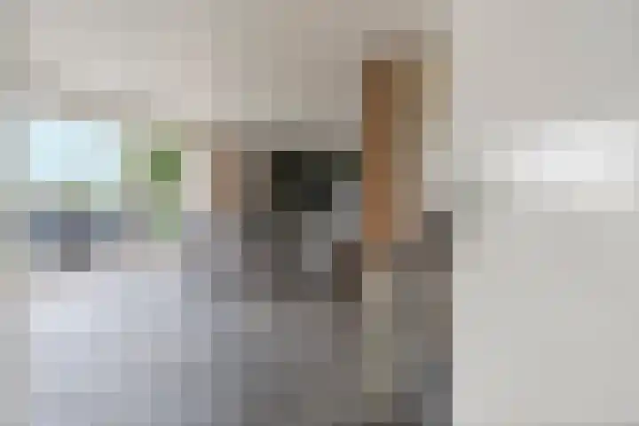 Hoogeweg 34 Pannerden thumbnail 8