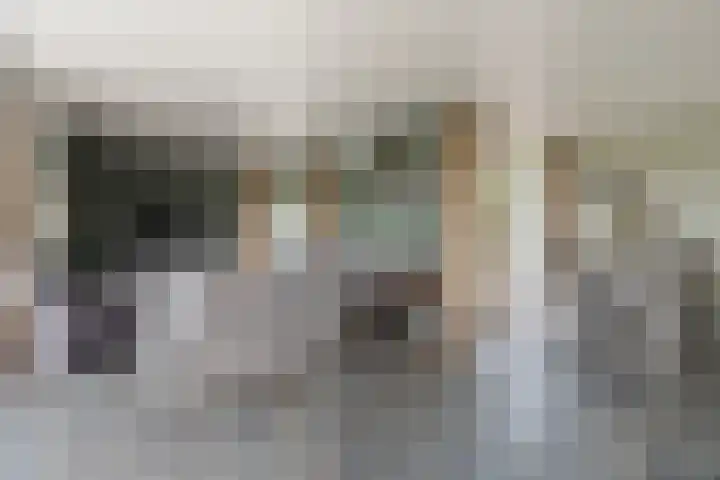 Hoogeweg 34 Pannerden thumbnail 9