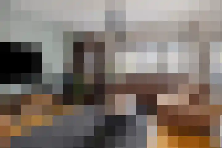 Hoogewei 10 Goes foto 2