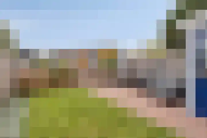 Hoogewei 10 Goes thumbnail 24