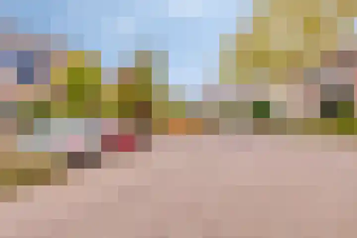 Hoogewei 48 Goes thumbnail 10