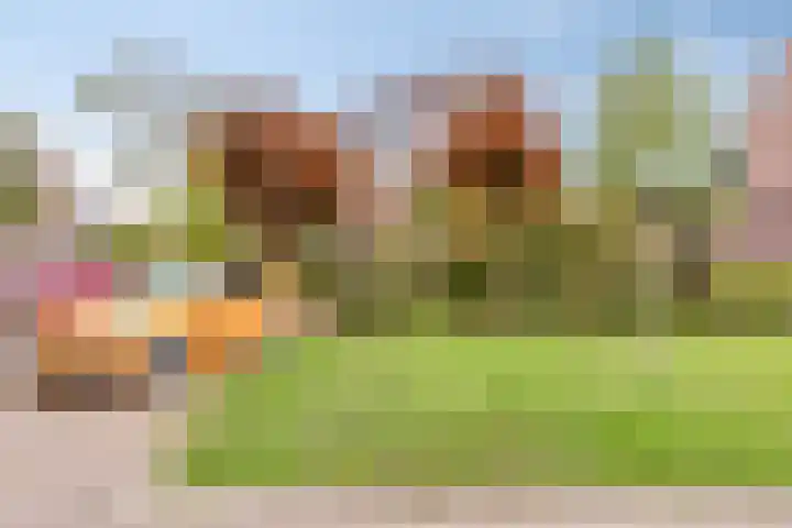 Hoogewei 48 Goes thumbnail 11