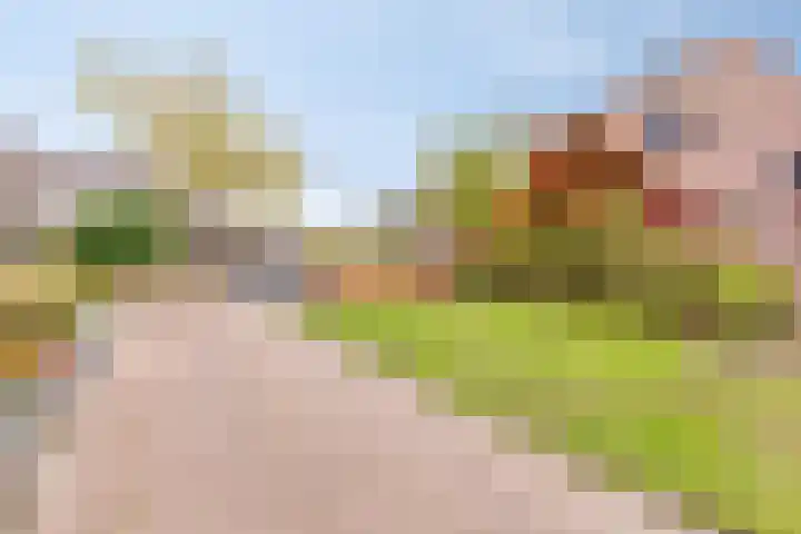 Hoogewei 48 Goes thumbnail 12
