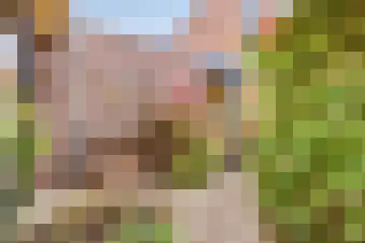 Hoogewei 48 Goes thumbnail 13