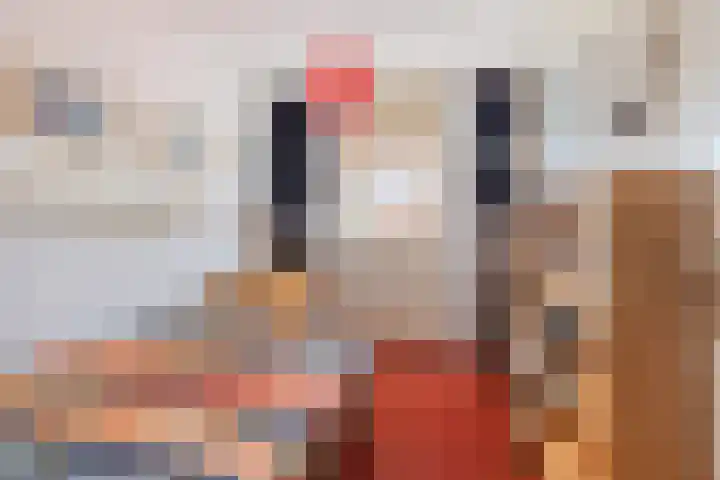 Hoogewei 48 Goes thumbnail 29