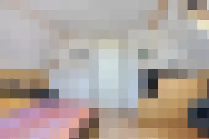 Hoogewei 48 Goes thumbnail 42