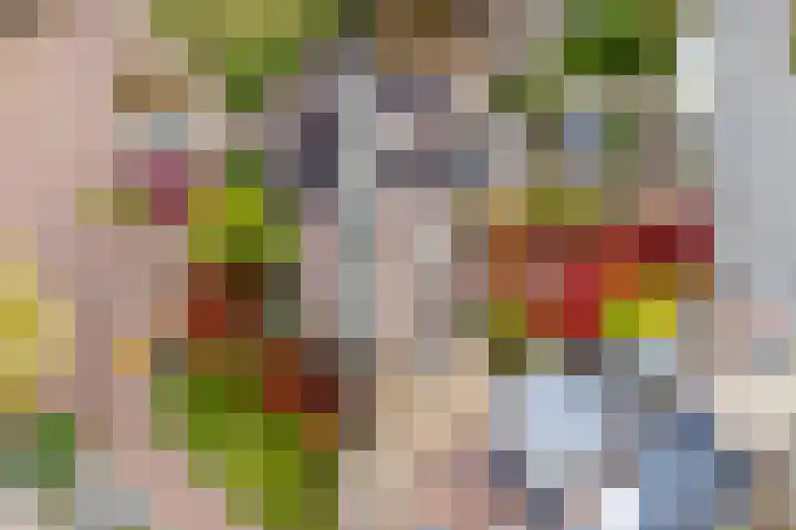 Hoogewei 48 Goes thumbnail 46