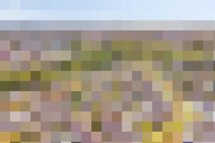 Hoogewei 48 Goes thumbnail 49