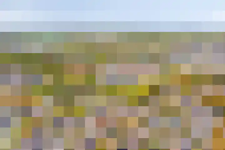 Hoogewei 48 Goes thumbnail 52