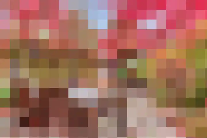 Hoogewei 48 Goes thumbnail 54