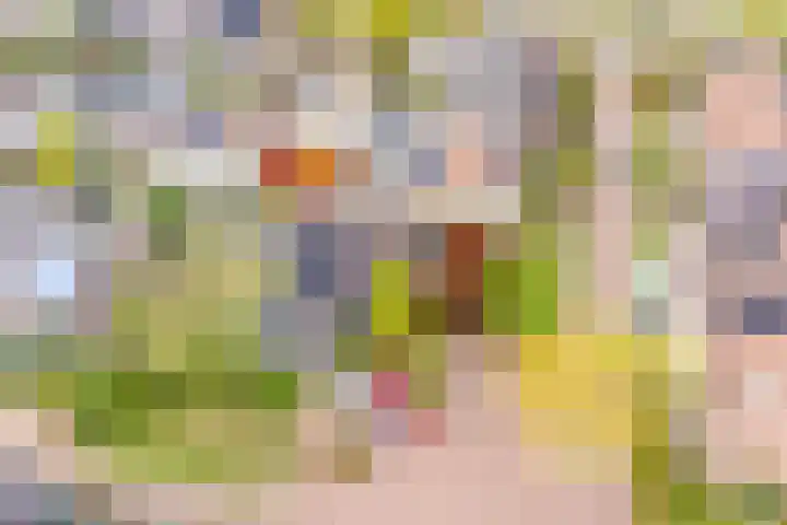 Hoogewei 48 Goes thumbnail 7