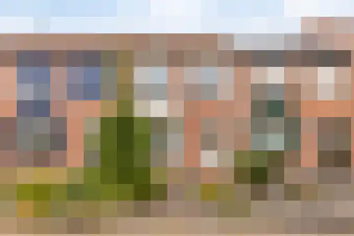 Hoogewei 64 in Goes