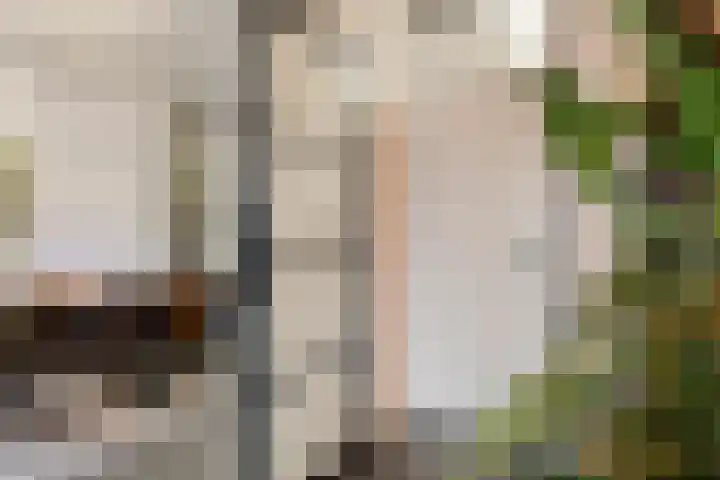 Hoogewei 78 Goes thumbnail 12
