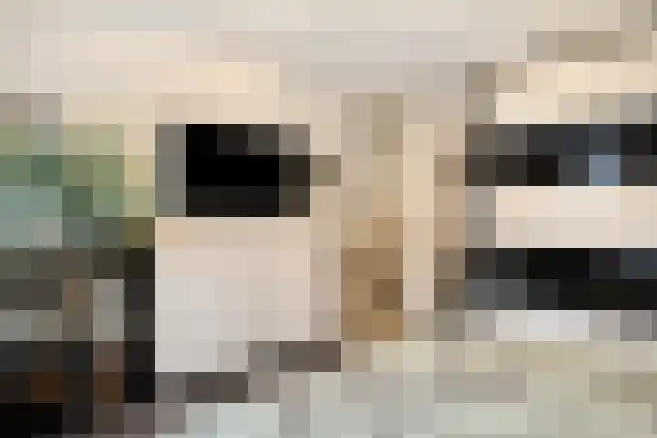 Hoogewei 78 Goes thumbnail 15