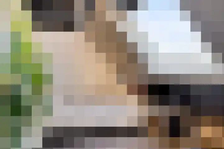 Hoogewei 78 Goes thumbnail 21