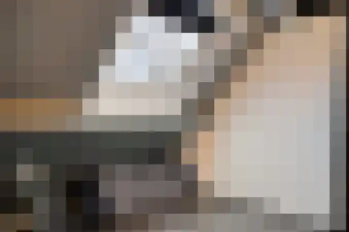 Hoogewei 78 Goes thumbnail 22