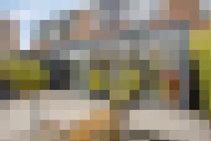 Hoogewei 78 Goes foto 3