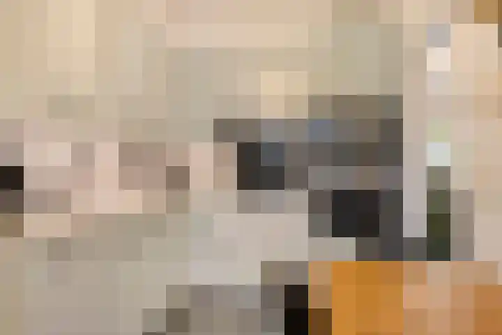 Hoogewei 78 Goes thumbnail 9
