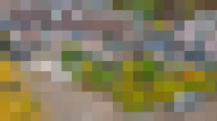 Hoogewei 80 Goes