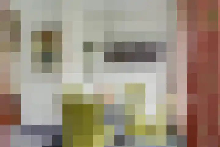 Hoogewei 80 Goes thumbnail 14