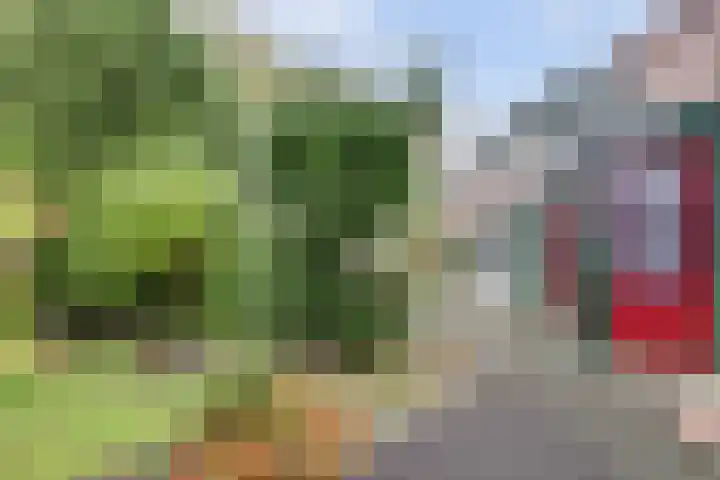 Hoogewei 80 Goes thumbnail 29
