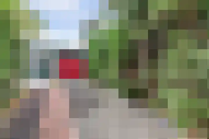 Hoogewei 80 Goes thumbnail 31