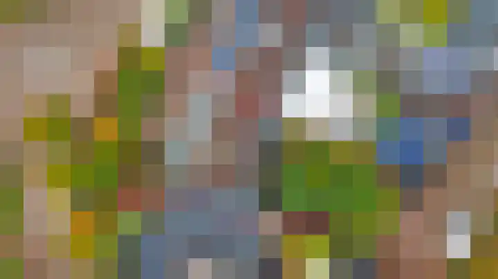 Hoogewei 80 Goes thumbnail 34