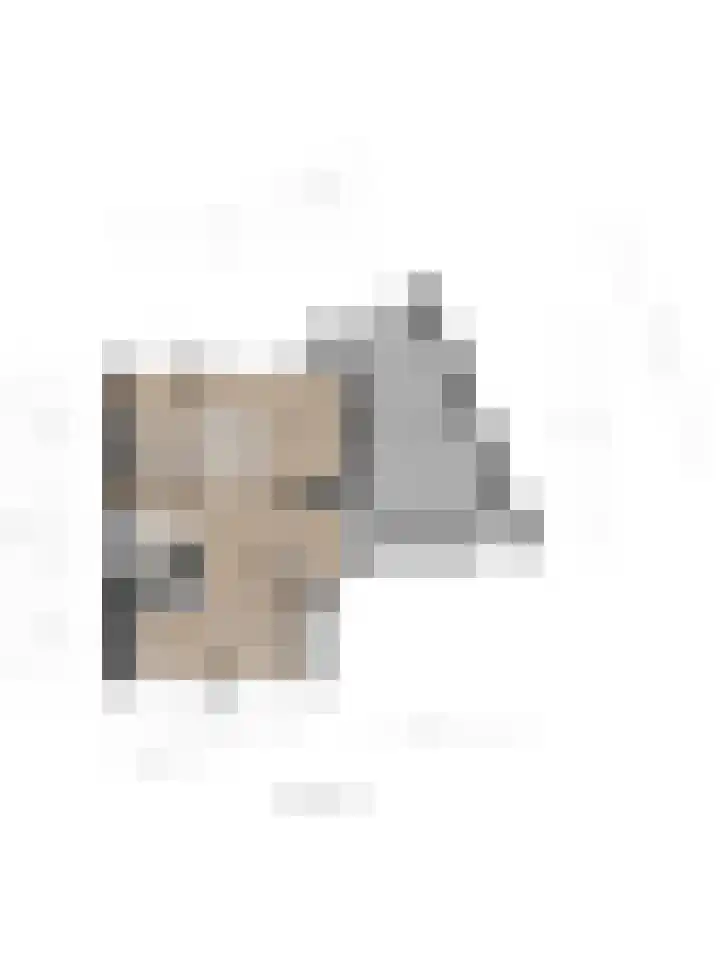 Hoogewei 80 Goes thumbnail 41
