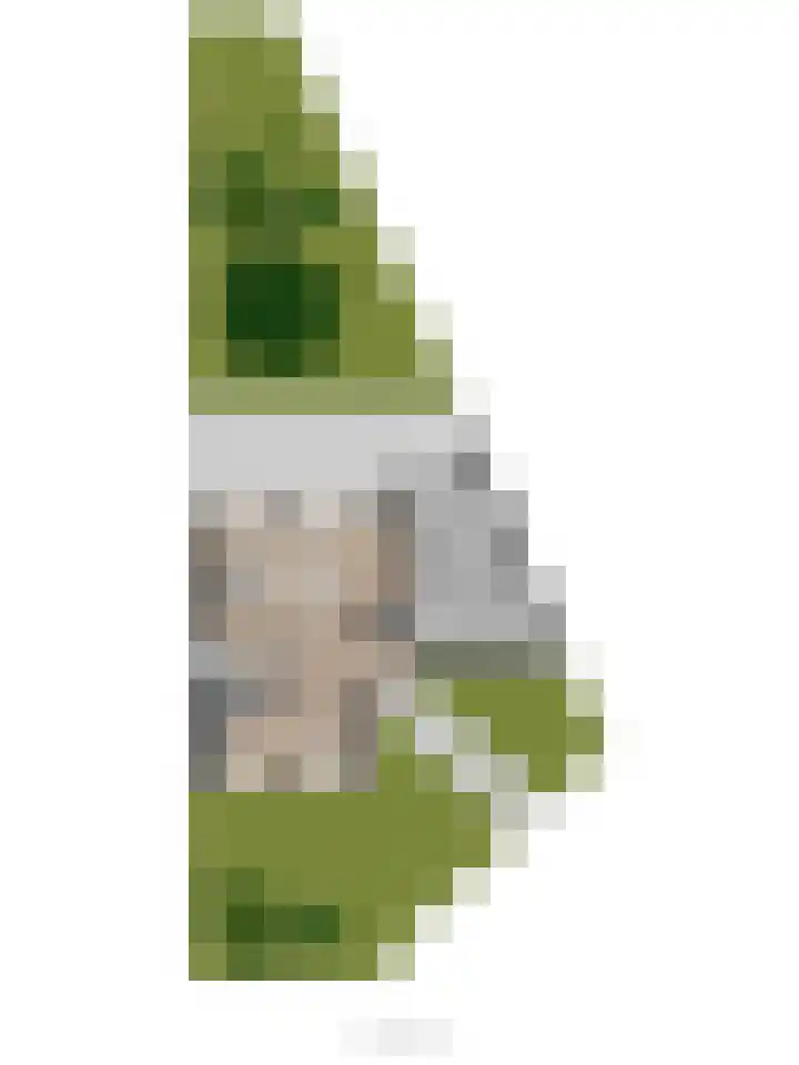 Hoogewei 80 Goes thumbnail 47