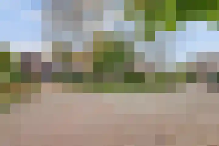 Hoogewei 80 Goes thumbnail 5