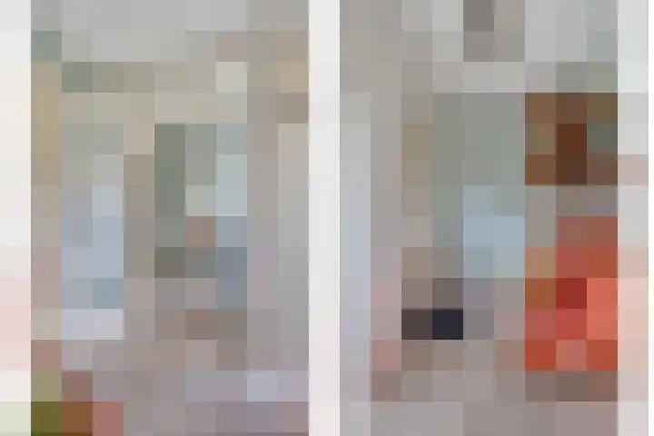 Hoogewei 82 Goes thumbnail 10