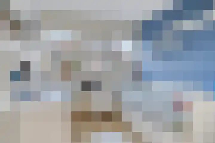 Hoogewei 82 Goes thumbnail 27
