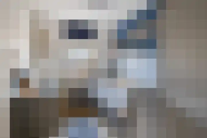 Hoogewei 82 Goes thumbnail 29