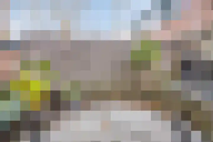 Hoogewei 82 Goes thumbnail 37