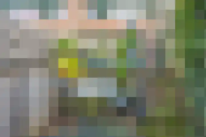 Hoogewei 82 Goes thumbnail 38