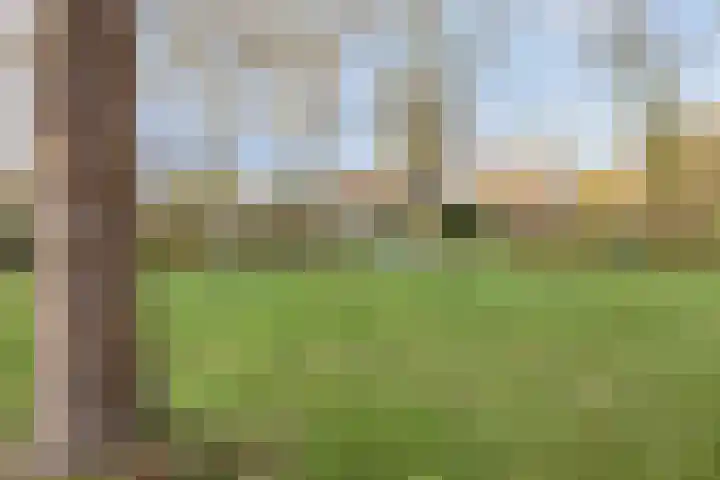 Hoogewei 82 Goes thumbnail 42