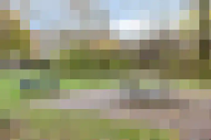 Hoogewei 82 Goes thumbnail 43