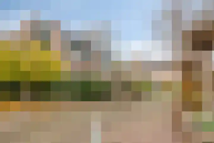 Hoogewei 82 Goes thumbnail 5