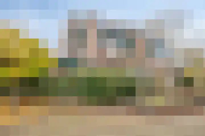 Hoogewei 82 Goes thumbnail 7